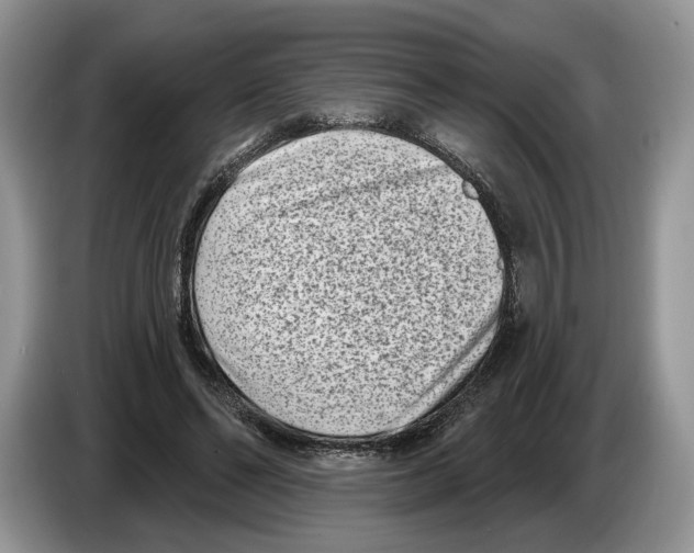 X0000086270494200704262019
