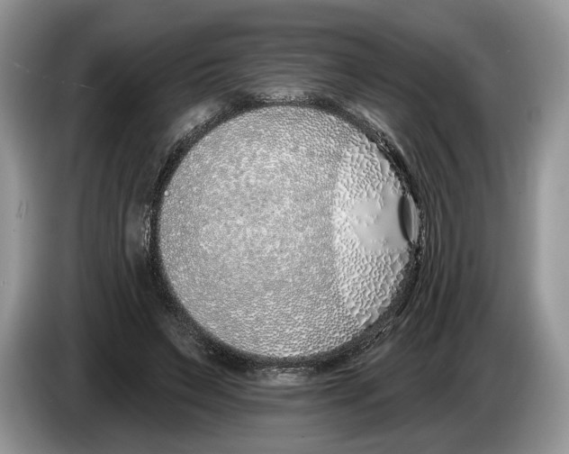 X0000086270495200704262019