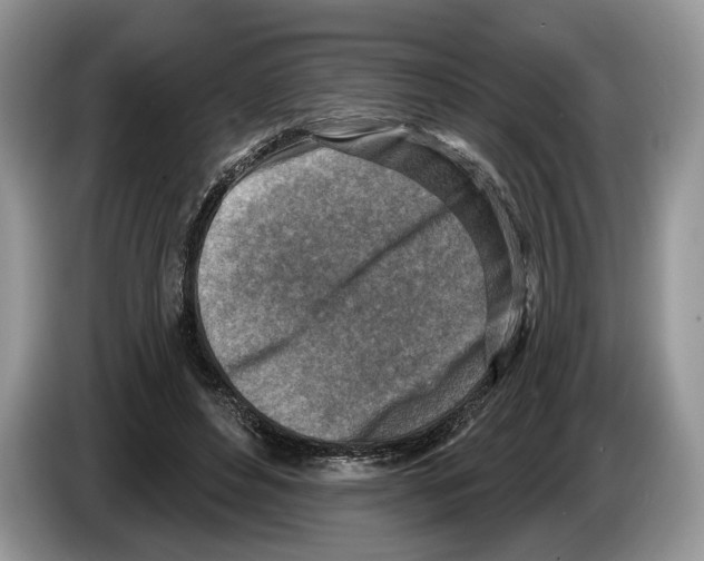 X0000086270496200704262019