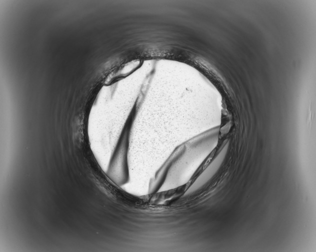 X0000086270497200704262019