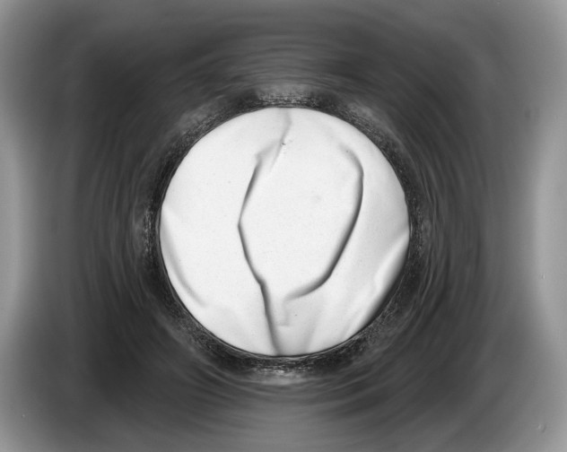 X0000086270498200704262019