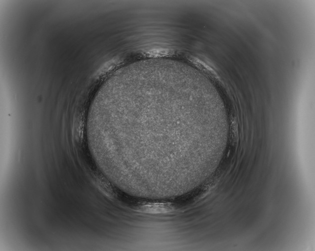 X0000086270499200704262019
