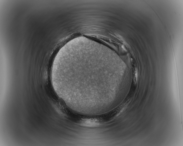 X0000086270500200704262019