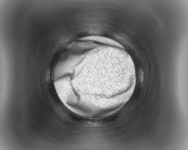 X0000086270502200704262019