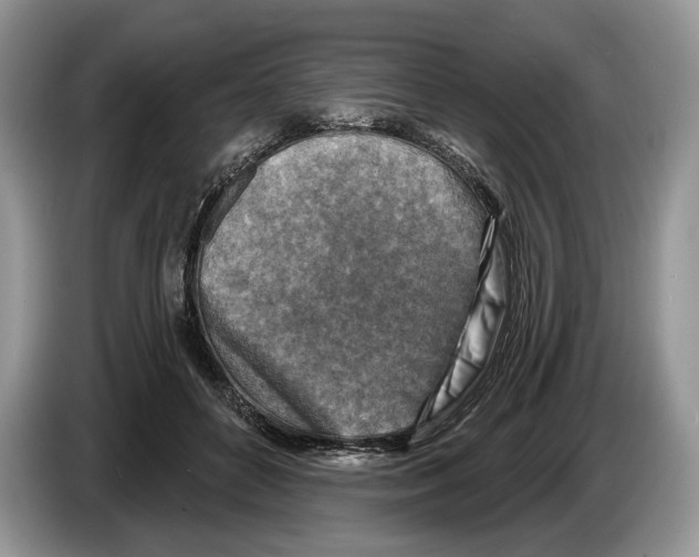 X0000086270504200704262019