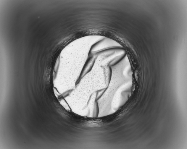 X0000086270505200704262019
