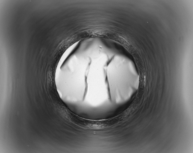X0000086270506200704262019