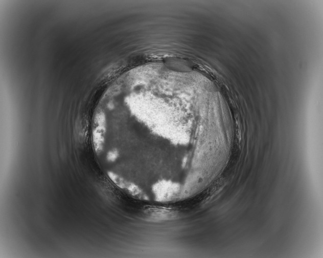 X0000086270507200704262019
