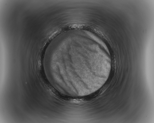 X0000086270508200704262019