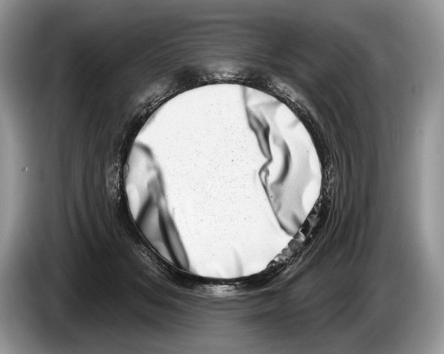 X0000086270509200704262019