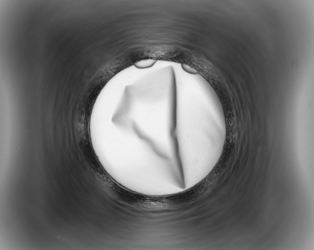 X0000086270510200704262019