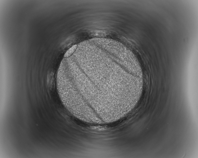 X0000086270511200704262019