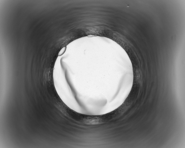 X0000086270514200704262019