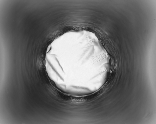 X0000086270515200704262019