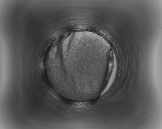 X0000086270516200704262019