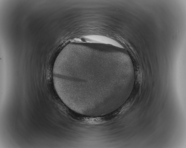 X0000086270517200704262019