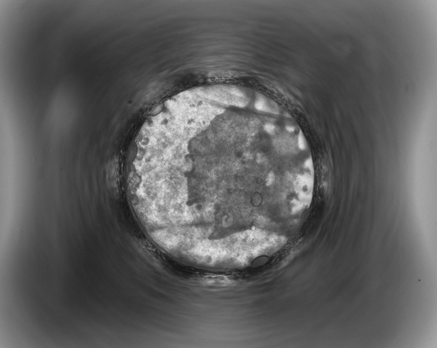 X0000086270519200704262019