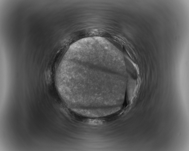 X0000086270520200704262019