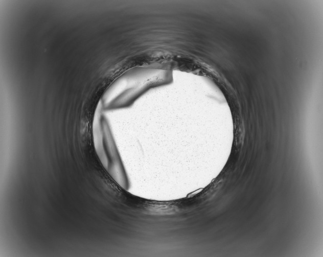 X0000086270521200704262019