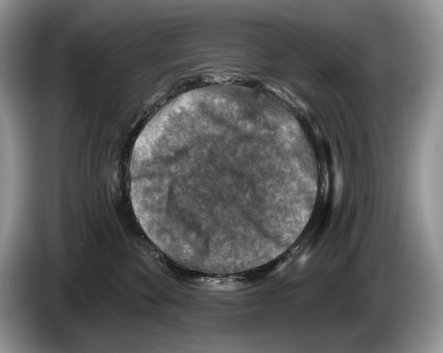 X0000086270524200704262019