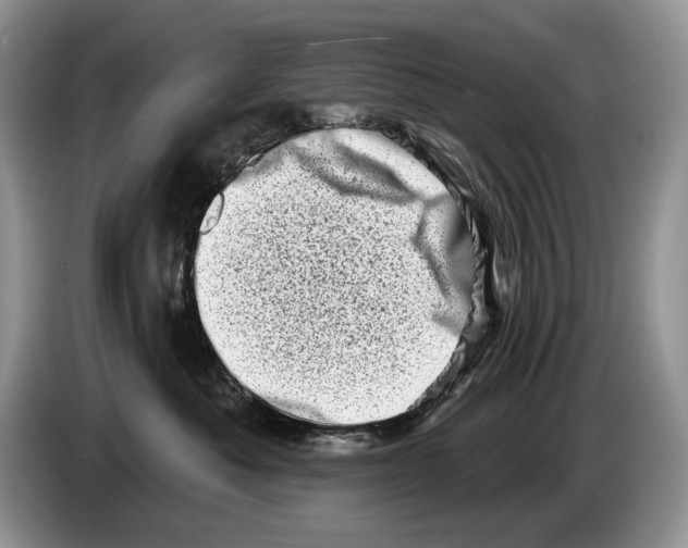 X0000086270525200704262019