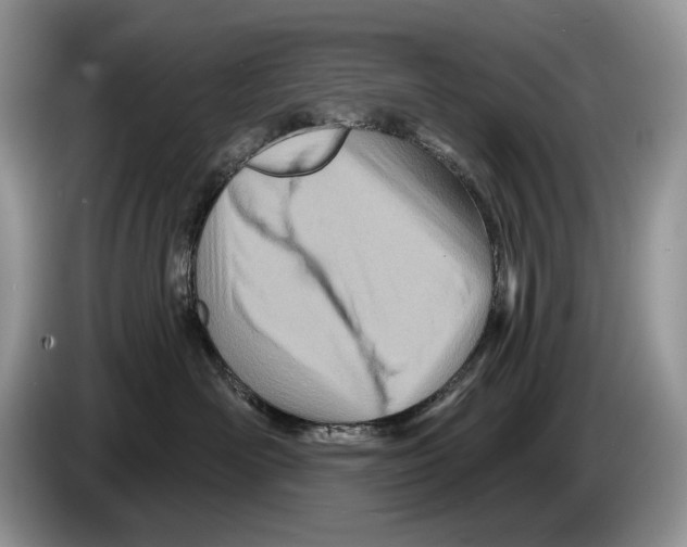 X0000086270526200704262019