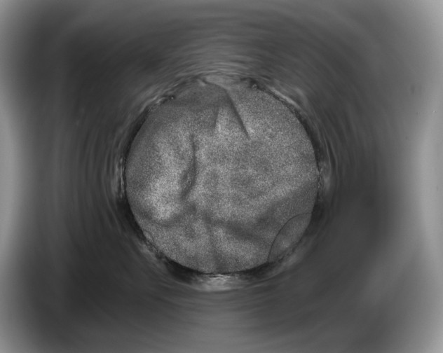 X0000086270527200704262019