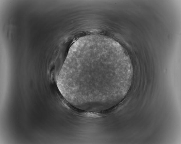 X0000086270528200704262019