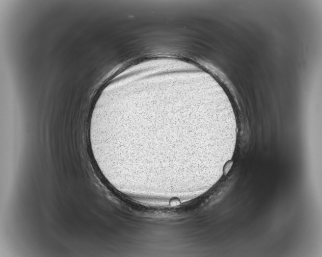 X0000086270529200704262018