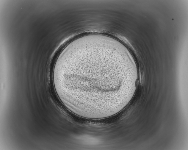 X0000086270531200704262018