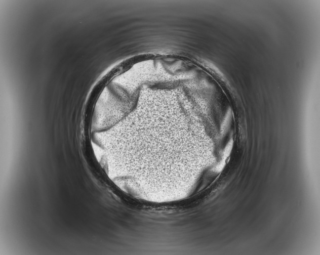 X0000086270532200704262018