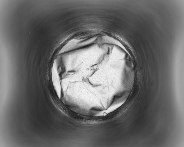 X0000086270533200704262018