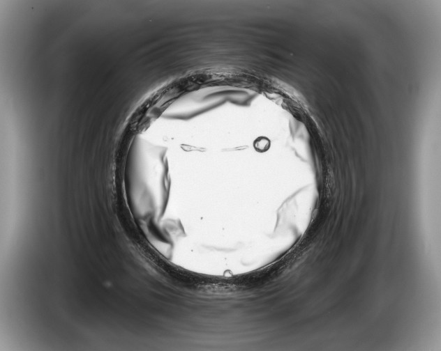 X0000086270535200704262018