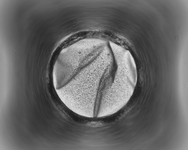 X0000086270536200704262018
