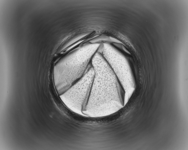 X0000086270538200704262018
