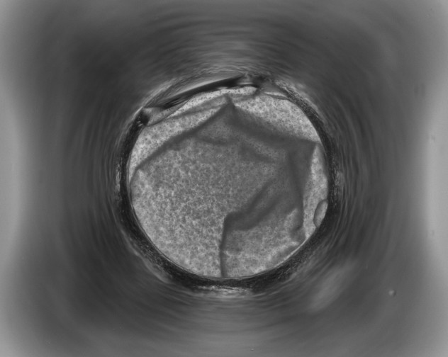 X0000086270539200704262018