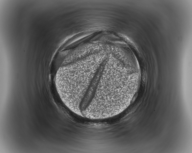 X0000086270540200704262018