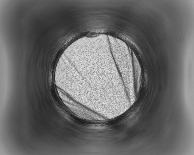 X0000086270541200704262018
