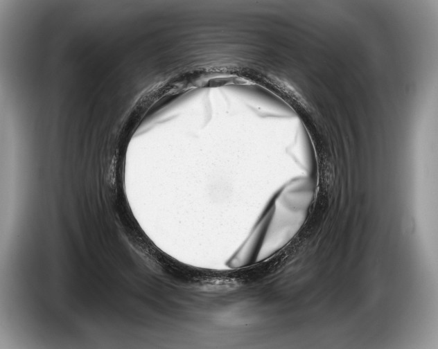 X0000086270543200704262018