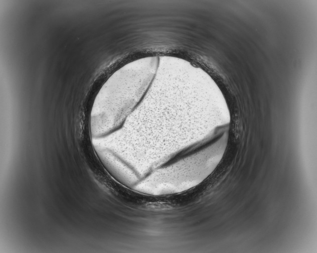 X0000086270544200704262018