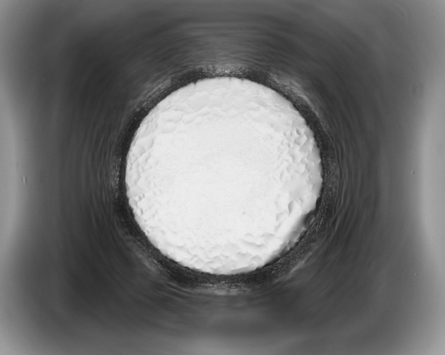 X0000086270545200704262018