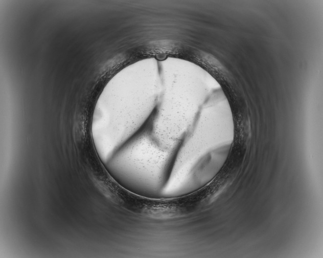 X0000086270546200704262018