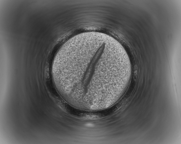 X0000086270547200704262018