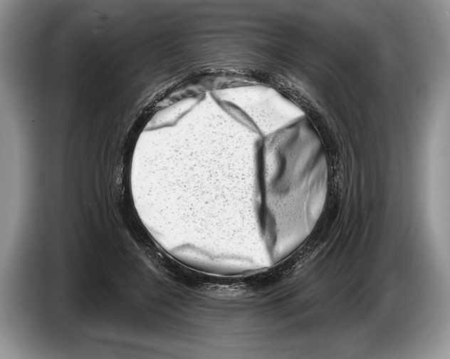X0000086270548200704262018