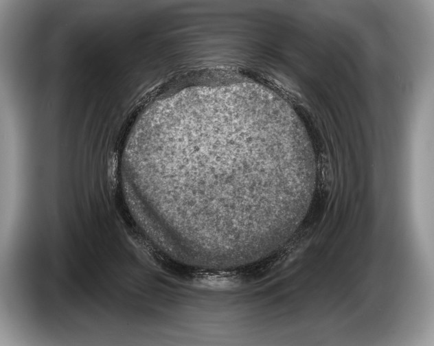 X0000086270550200704262018