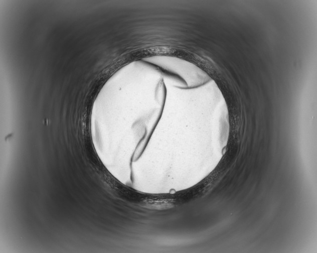 X0000086270553200704262018