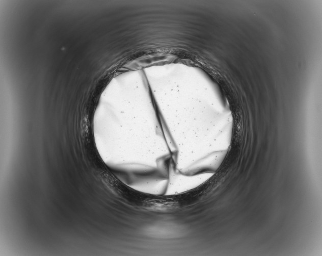 X0000086270555200704262018