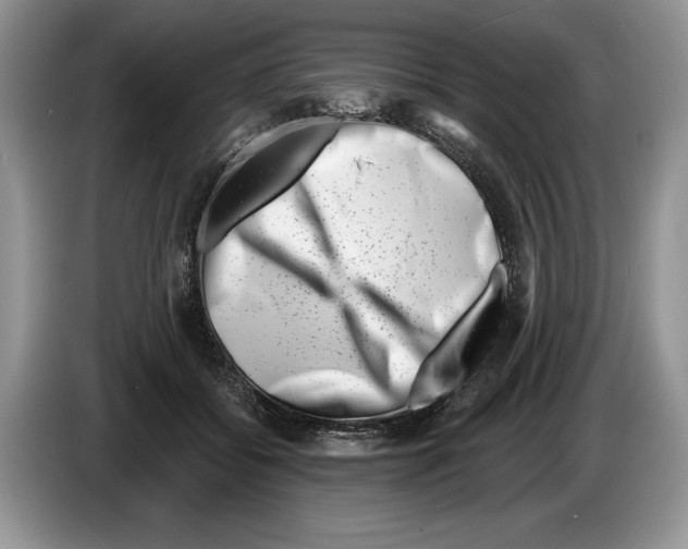 X0000086270556200704262018