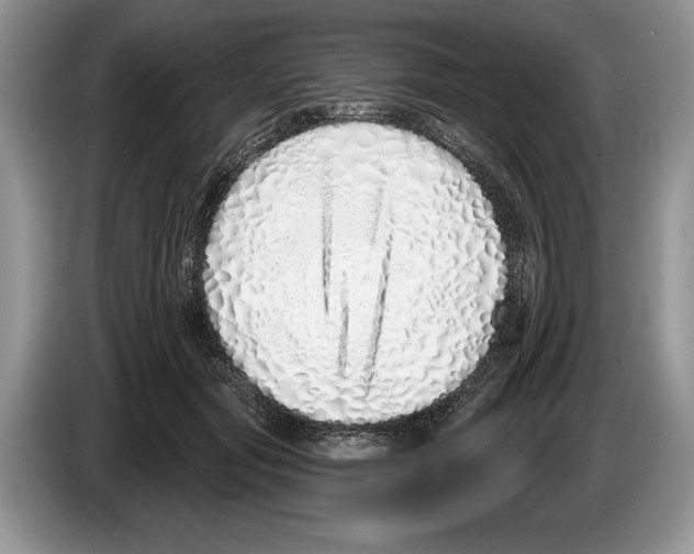 X0000086270557200704262018