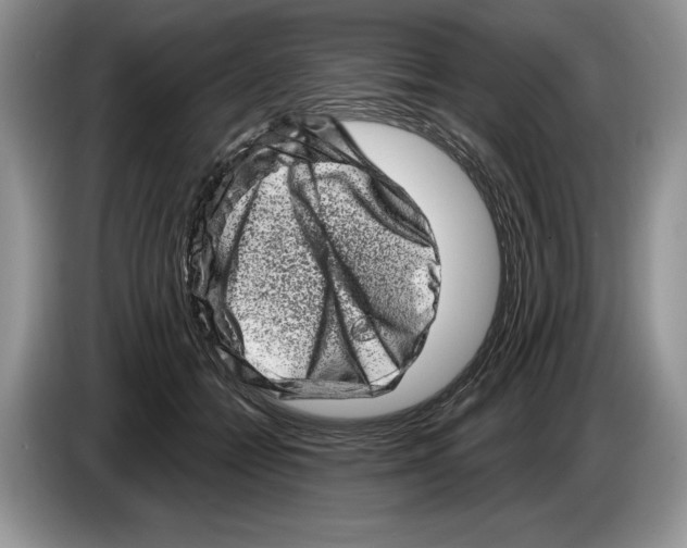 X0000086270558200704262018